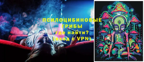 ПСИЛОЦИБИНОВЫЕ ГРИБЫ Ладушкин