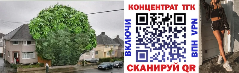 ТГК вейп с тгк Купить Новодвинск