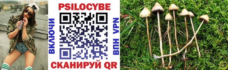 Галлюциногенные грибы Cubensis  Купить где  Новодвинск 